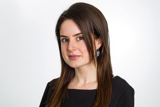 Zara Berberyan, HSBA Zara Berberyan, HSBA Doktorandin