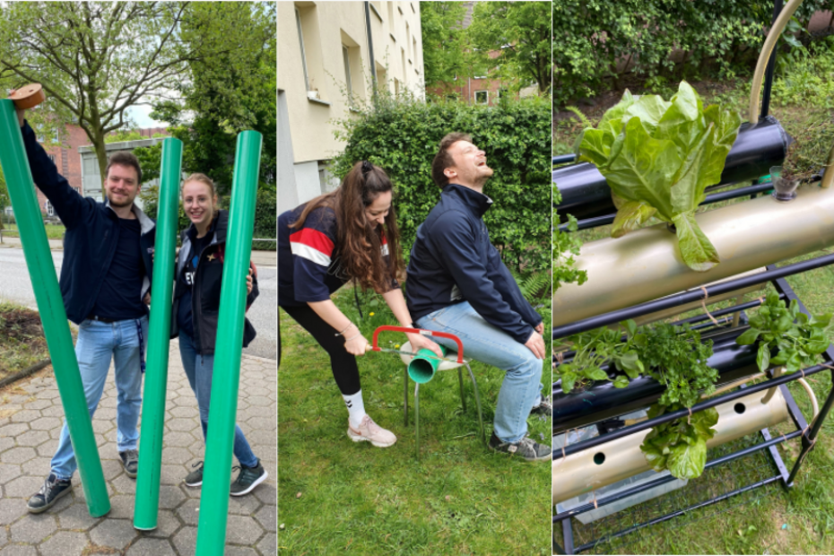 Work in Progress_Vertical Farm HSBA Artefakt MSc Digital Transformation & Sustainability