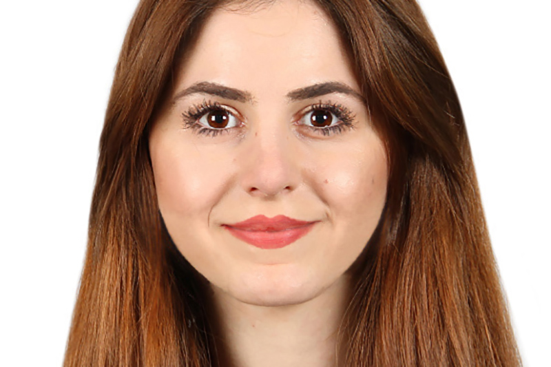 Meri Berberyan